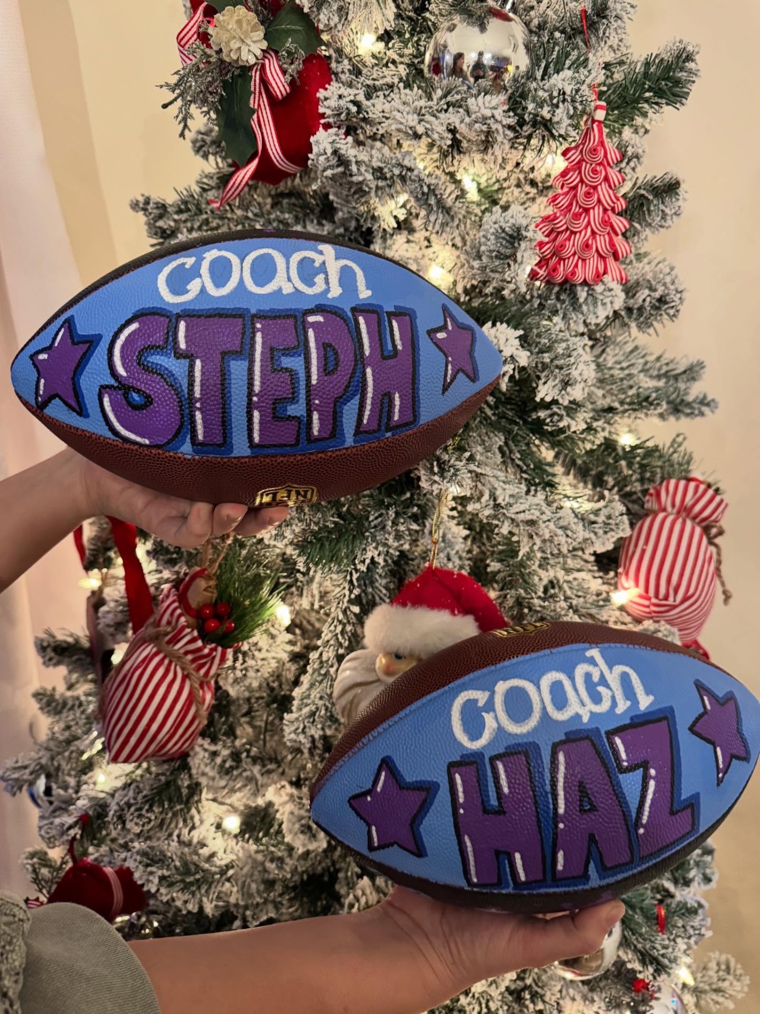 Custom painted coach footballs